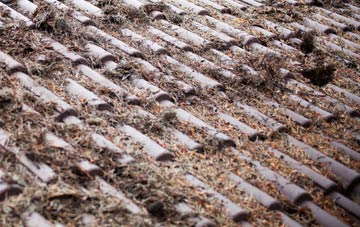 Wicklewood roof cleaning companies